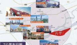 九天爆料网红事件视频,揭秘网络红人背后的真相