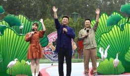 断桥网友爆料视频大全最新,揭秘网络热点背后的真相